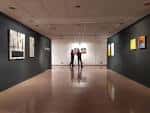 Georgia O'Keeffe x María Herreros", nueva exposición en la Sala de ...