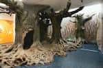 Museum of Natural Sciences of Granollers – Xarxa de Museus de ...