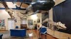Museo de Historia Natural (2025) - All You Need to Know BEFORE You ...