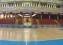 PALACIO MUNICIPAL DE DEPORTES "VISTA ALEGRE" - Instituto Municipal ...
