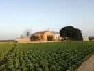 Property for sale in La Aparecida - 10 houses & apartments