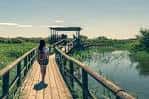 El Hondo Natural Park, a wetland of international importance ...