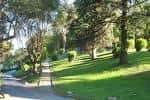 Sendero arbolado y zonas verdes soleadas en el Parque de la Alameda