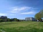 Vista panorámica del Parque de Tafisa con césped y edificios modernos bajo cielo azul