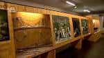 Exposición interior del museo con vitrinas de madera y objetos.