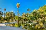 Palmeral of Elche Tours - Book Now | Expedia