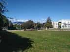 Paseos por Vigo (7) - O Picacho (Beiramar-Torrecedeira) - Vigo360