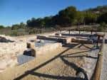 Ruinas romanas en el Clot de Galvany - El Clot de Galvany