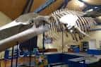 Observer® Science Tourism