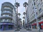 Calle General Gutiérrez Mellado con palmeras y edificios comerciales
