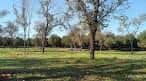 Pinar de Santo Domingo (2025) - All You Need to Know BEFORE You Go ...