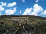 Sierra de San Cristóbal - Wikipedia, la enciclopedia libre