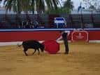 Escuela de Tauromaquia