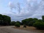 File:Monte del Pilar. Majadahonda, Madrid, España 10.jpg ...