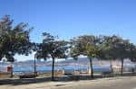 Paseo arbolado de Alfonso XII con vistas a la Ría de Vigo