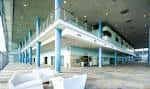 Pasillo interior amplio con columnas y grandes ventanales