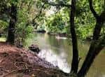Orilla del río Mandeo con árboles y vegetación densa