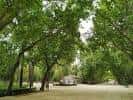 Vista general - Picture of Parque de Abelardo Sanchez, Albacete ...