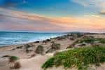 La Marina – VisitElche