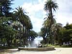 Things to do in Pontevedra: Best Spots and Local Dishes