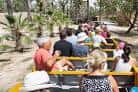 2025 Rio Safari Elche with Transport from Benidorm (El Albir) - w ...