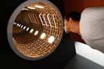Immersive experiences offered by Seville