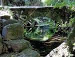 Remanso tranquilo del Río Gafos con reflejos de la vegetación