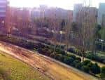 Parc de Can Corts | Consorci de Turisme del Baix Llobregat