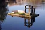Escultura flotante sobre el agua del río