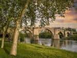 Puente Romano de Ourense visto desde la orilla arbolada del río