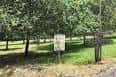 Parque Forestal de Cotogrande en Vigo