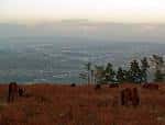 Vista panorámica de Monte Xalo con caballos y la ciudad al fondo