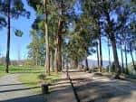 Sendero arbolado en el Parque del Mirador de Monte Porreiro
