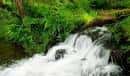 Cascada pequeña en el río Gafos rodeada de abundante vegetación