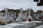 Tumbas y monumentos con estatuas de ángeles en el Cementerio de San Froilán