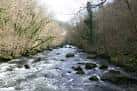 Río Mandeo con aguas bravas y rocas, flanqueado por árboles de ribera.