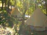 Tiendas de campaña tipo glamping en un entorno natural boscoso.