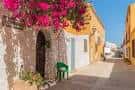 Excursión a la isla de Tabarca y el palmeral de Elche en Benidorm ...