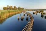 Parque Natural «El Hondo» - Portal Turismo de Crevillent