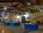 Museo de Historia Natural (2025) - All You Need to Know BEFORE You ...