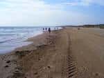File:Playa La Marina Elche.jpg - Wikimedia Commons