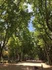 Parque Abelardo Sanchez y la Fiesta del Árbol, Albacete. | Flickr