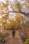 Otoño en el Preventori (Alcoy) | Más allá de la ciudad