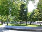 Vista de un área ajardinada con árboles frondosos y un banco curvo en los Jardines de Montero Ríos
