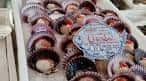 Vieiras frescas expuestas para la venta en el Mercado de Abastos de Santiago