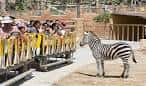Rio Safari Elche (2025) - All You Need to Know BEFORE You Go (with ...