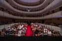 Vista panorámica de un auditorio con público y alfombra roja
