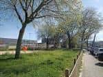 Sendero arbolado y zona verde en el Parque Rosalía de Castro