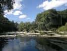 Vista panorámica del río Miño con orillas arboladas y puente al fondo