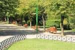 Paseo arbolado con bancos en el Parque da Milagrosa